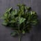 Pothos Bush Real Touch™ Collection by Ashland